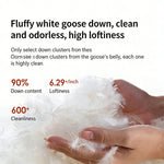 Load image into Gallery viewer, Modern Channel-Tufted Snow Velvet Sofa with Latex Cushioning
