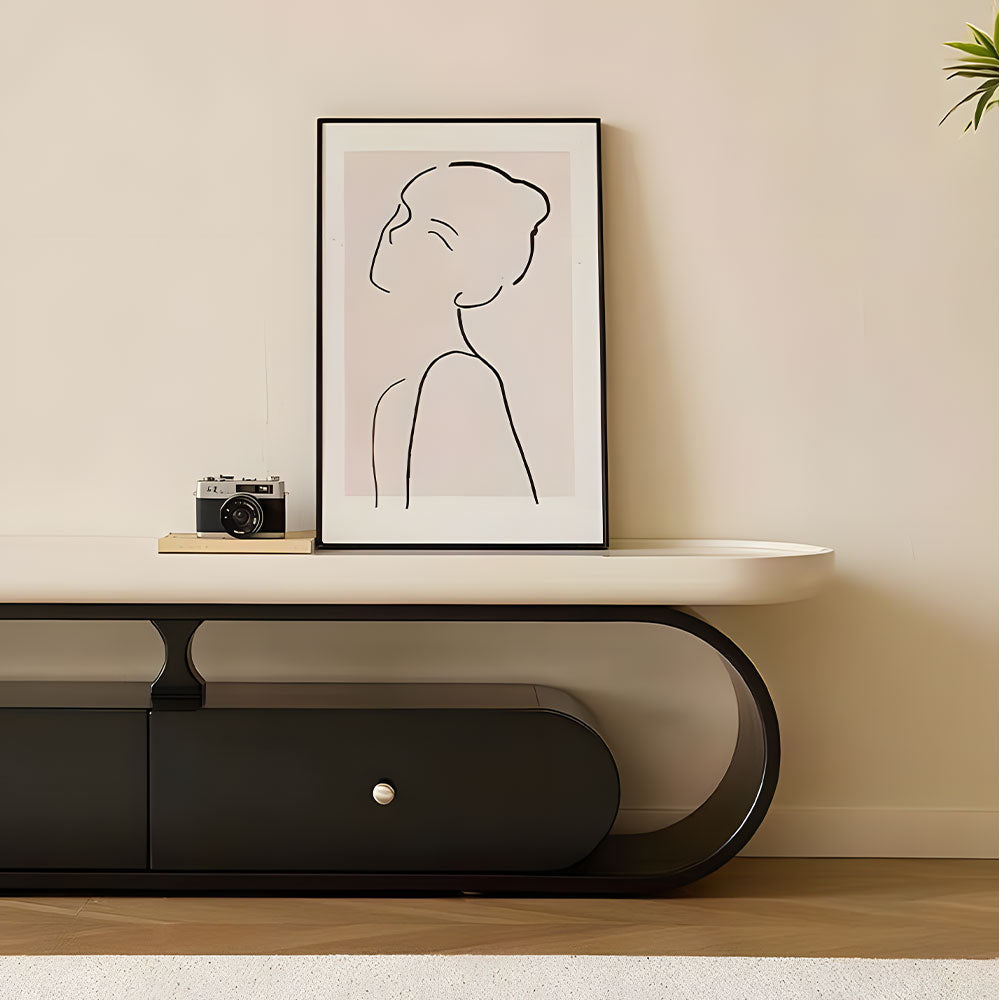 Elegant TV Stand Bold Two-Tone Contrast