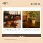 Load image into Gallery viewer, Walnut TV Stand Cabinet with Elegant Design and Spacious Storage Solutions
