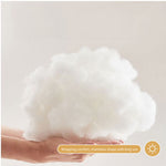 Load image into Gallery viewer, Modern Sofa Bed with 3.9-Inch Thick Foam Mattress
