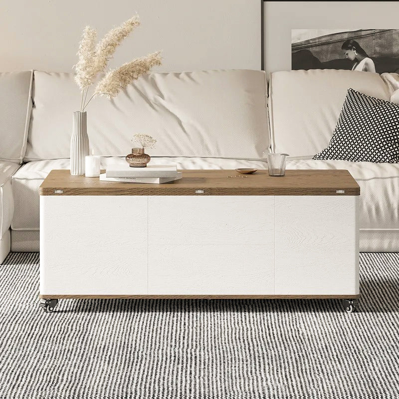 47.4" Coffee Table Lift Top Hidden Storage Modern Minimalist Design