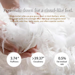 Load image into Gallery viewer, 110" Modern 4-Seater Leather Sofa Luxury Comfort with High-Density Foam Solid Wood Frame &amp; Brushed Stainless-Steel Accents
